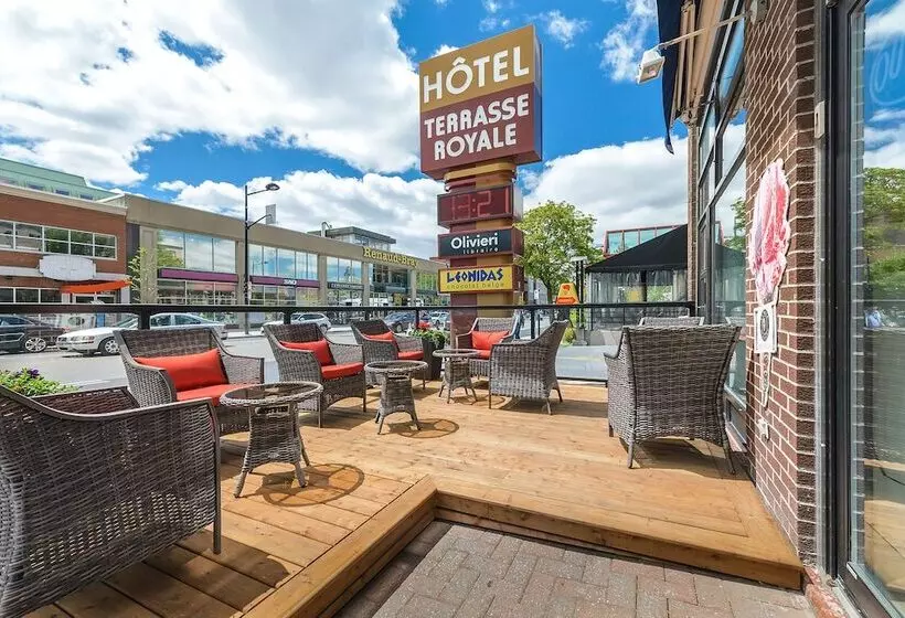 Fotos del hotel Terrasse Royale:  6