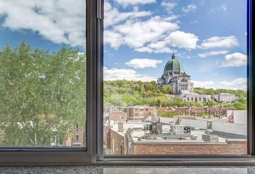 Fotos del hotel Terrasse Royale:  15