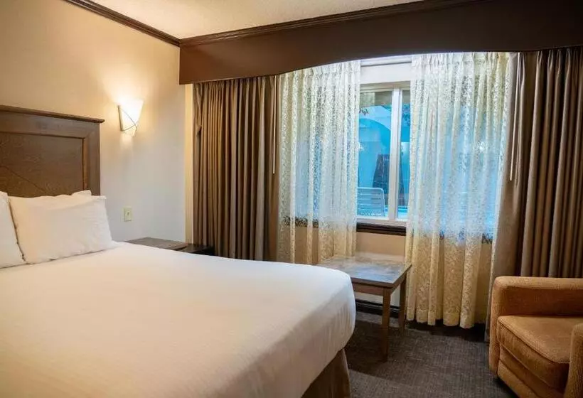 Fotos del hotel The Rundlestone Lodge:  10