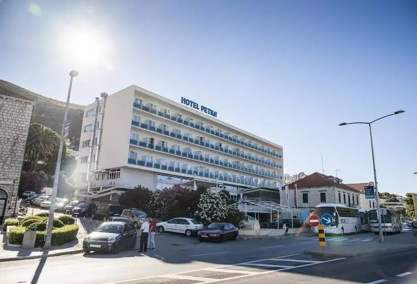 Fotos del hotel Petka:  5