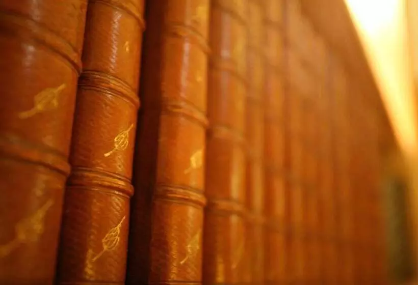 Fotos del hotel Royal Saint Michel:  7