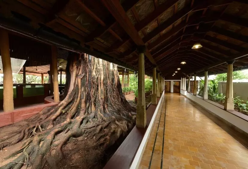 Fotos del hotel Casino Hotel - Cgh Earth, Cochin:  2