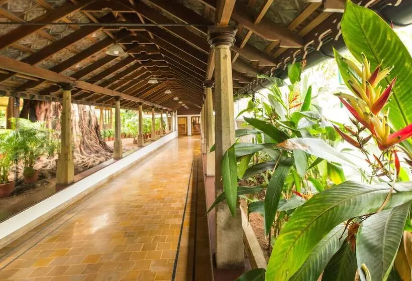 Fotos del hotel Casino Hotel - Cgh Earth, Cochin:  6