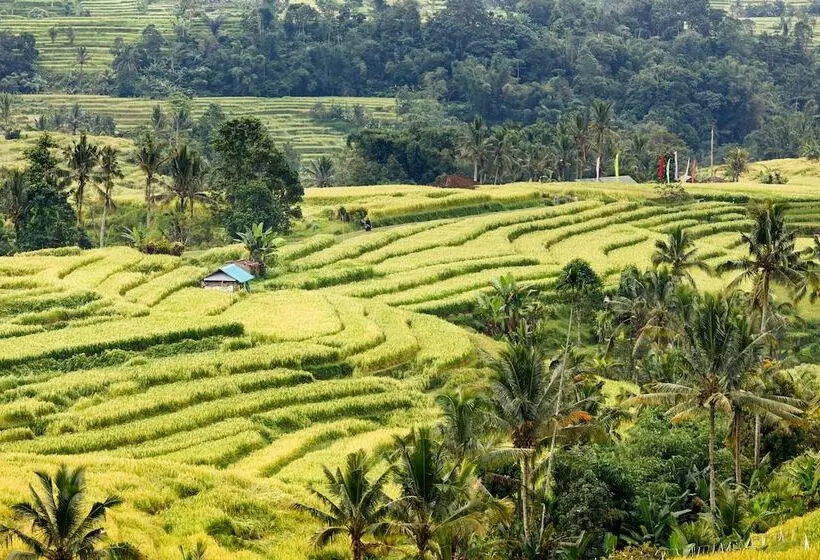 Fotos del hotel The Seminyak Beach Resort & Spa:  23