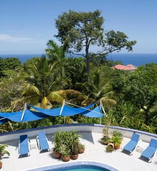 Fotos del hotel Mocking Bird Hill:  6