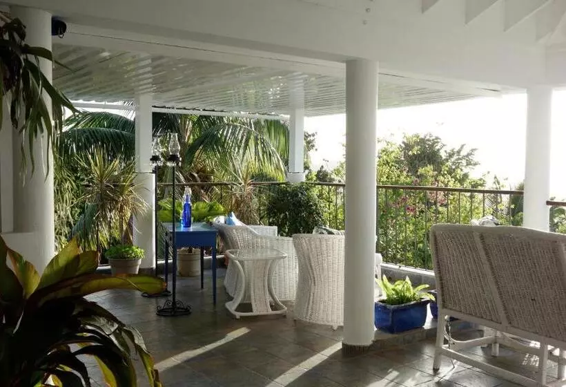 Fotos del hotel Mocking Bird Hill:  4