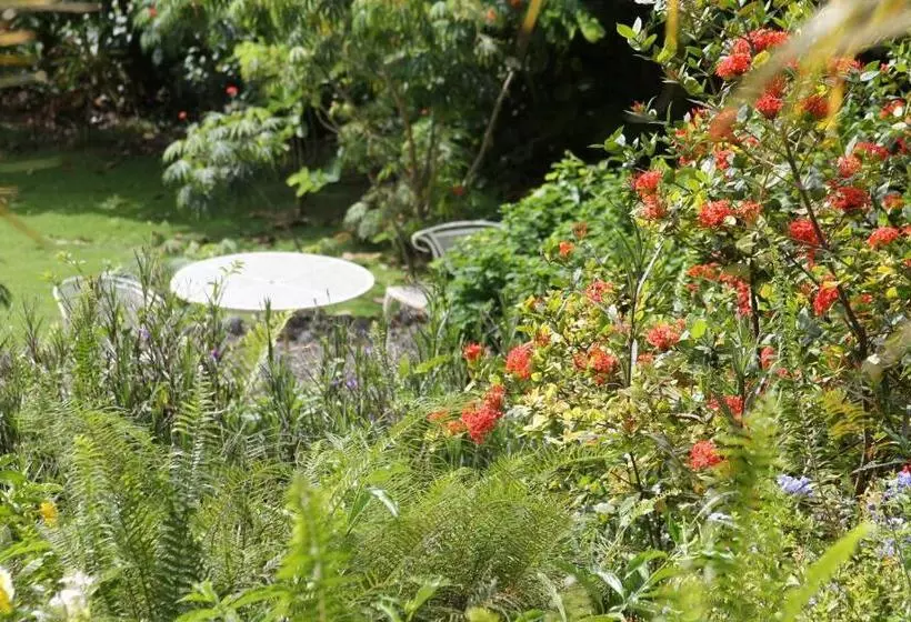 Fotos del hotel Mocking Bird Hill:  9