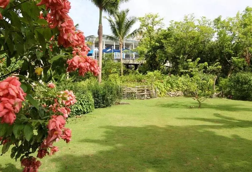 Fotos del hotel Mocking Bird Hill:  25