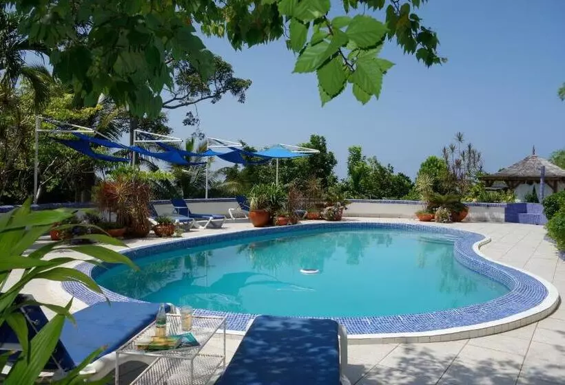 Fotos del hotel Mocking Bird Hill:  7