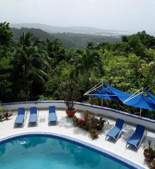 Fotos del hotel Mocking Bird Hill:  23