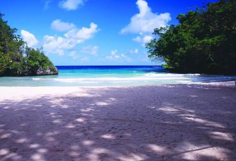 Fotos del hotel Mocking Bird Hill:  13