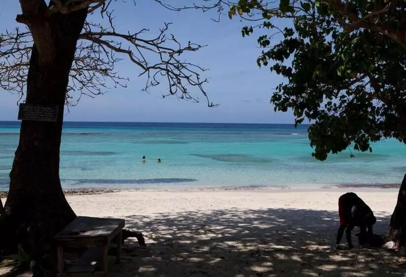 Fotos del hotel Mocking Bird Hill:  10