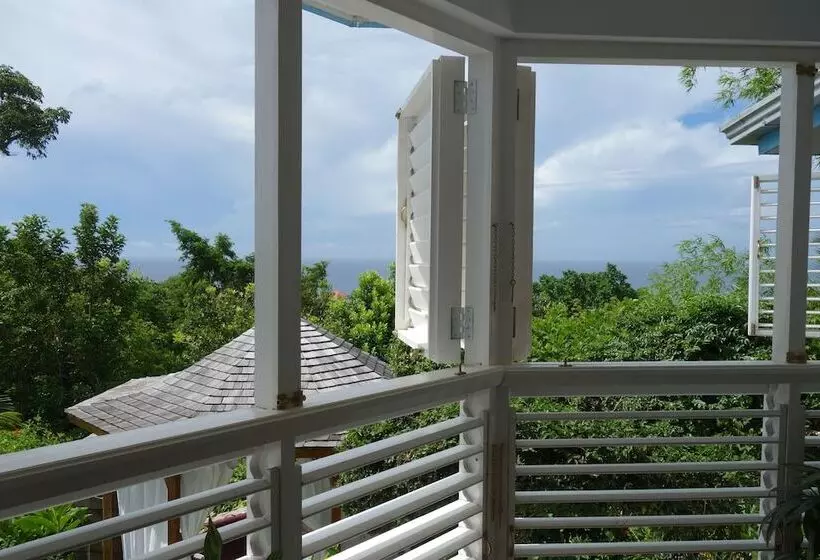 Fotos del hotel Mocking Bird Hill:  19