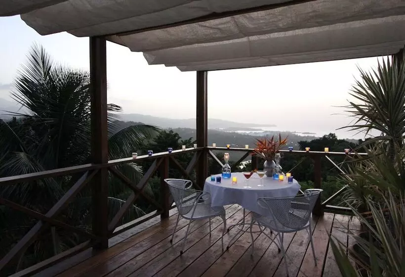 Fotos del hotel Mocking Bird Hill:  8