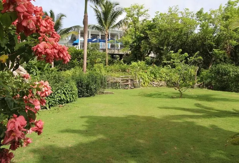 Fotos del hotel Mocking Bird Hill:  22