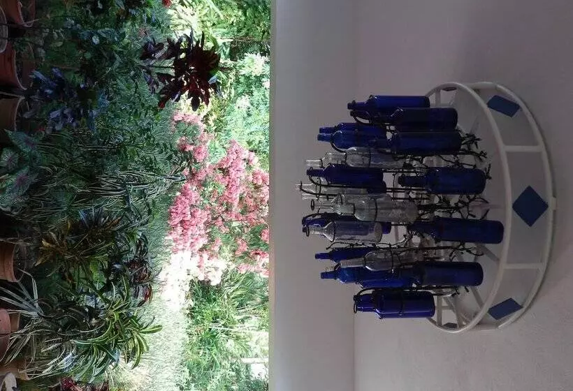 Fotos del hotel Mocking Bird Hill:  20