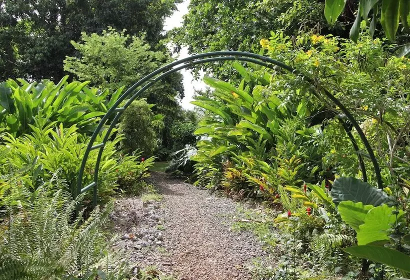 Fotos del hotel Mocking Bird Hill:  15