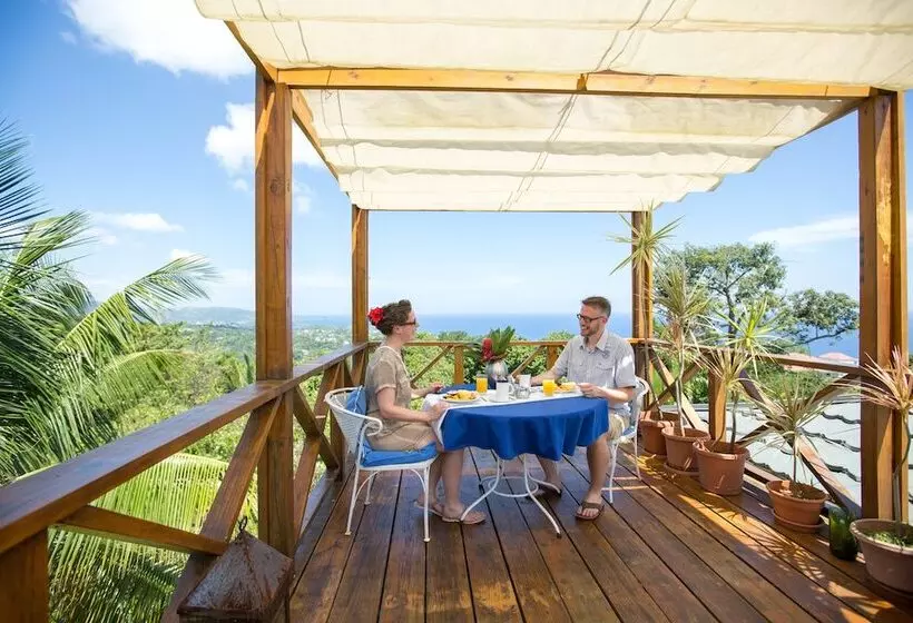 Fotos del hotel Mocking Bird Hill:  11