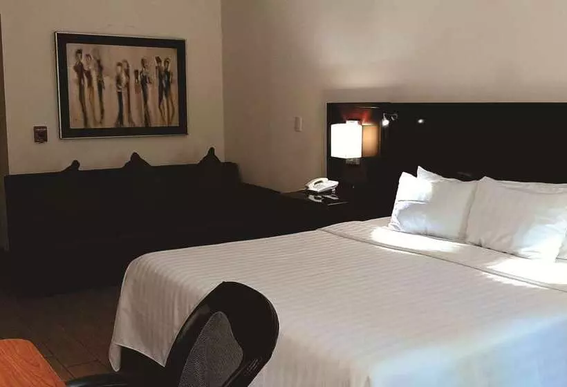 Fotos del hotel Best Western Plus Monterrey Colon:  23