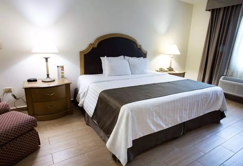 Fotos del hotel Best Western Plus Monterrey Colon:  20