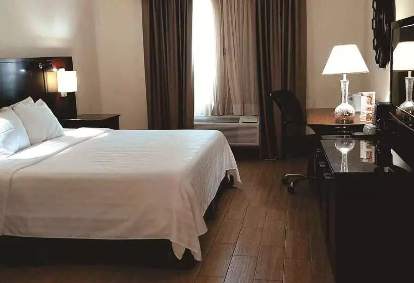 Best Western Plus Monterrey Colon