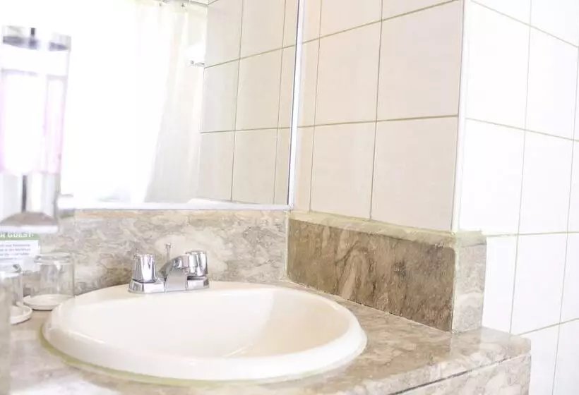 Fotos del hotel Palm Grove:  7