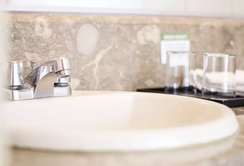 Fotos del hotel Palm Grove:  11