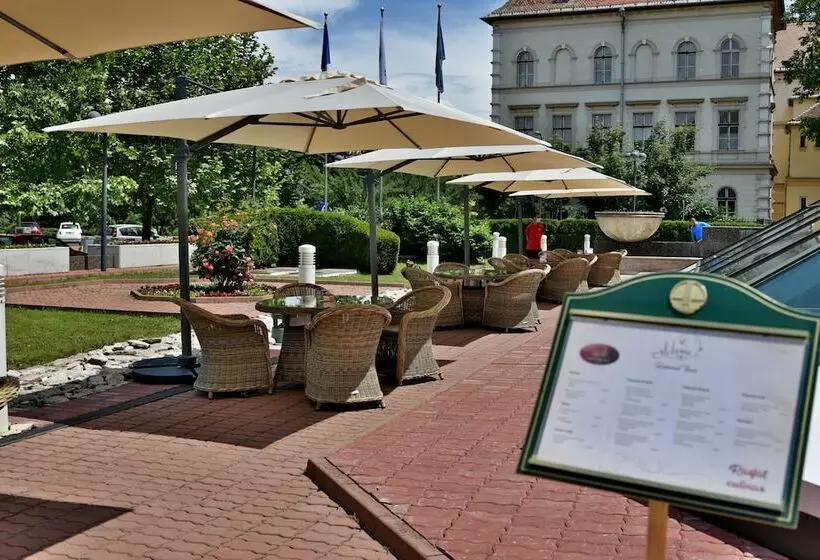 Fotos del hotel Aro Palace:  6