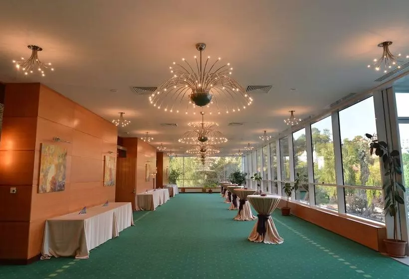 Fotos del hotel Aro Palace:  2