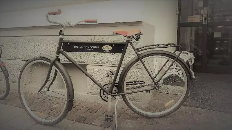 Fotos del hotel Concordia:  25