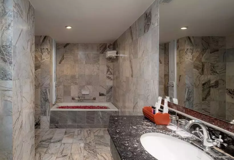 Fotos del hotel Alexander:  9