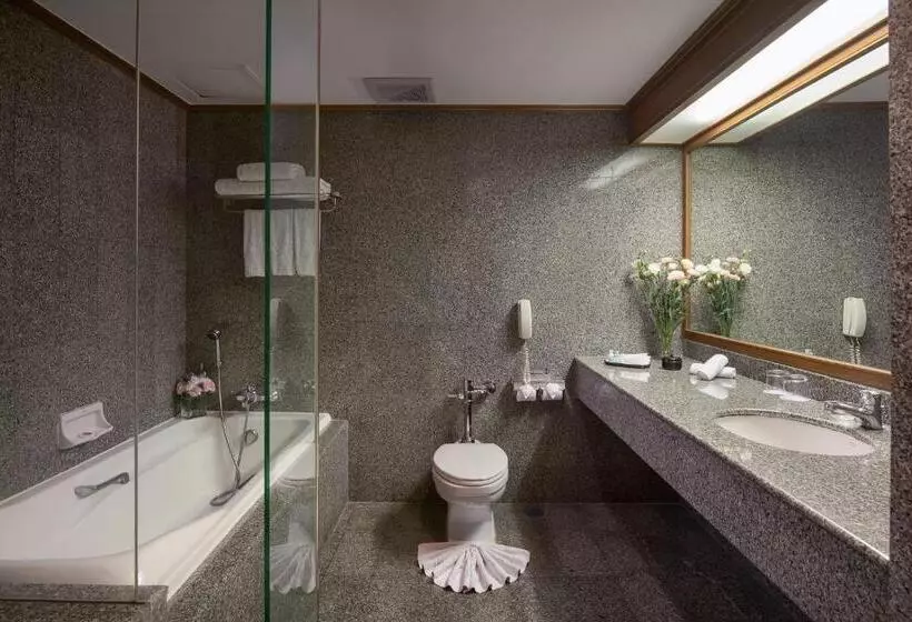 Fotos del hotel Prince Palace:  6