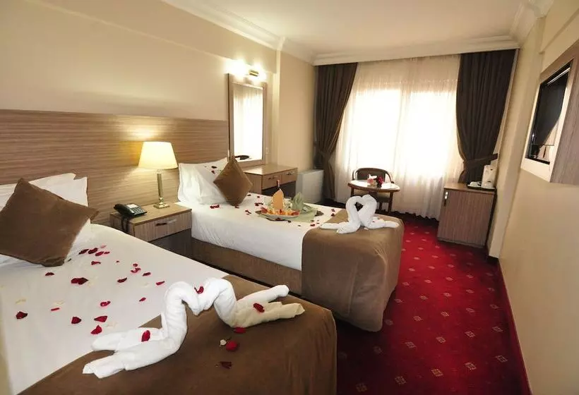 Fotos del hotel Buyuk Sahinler:  17