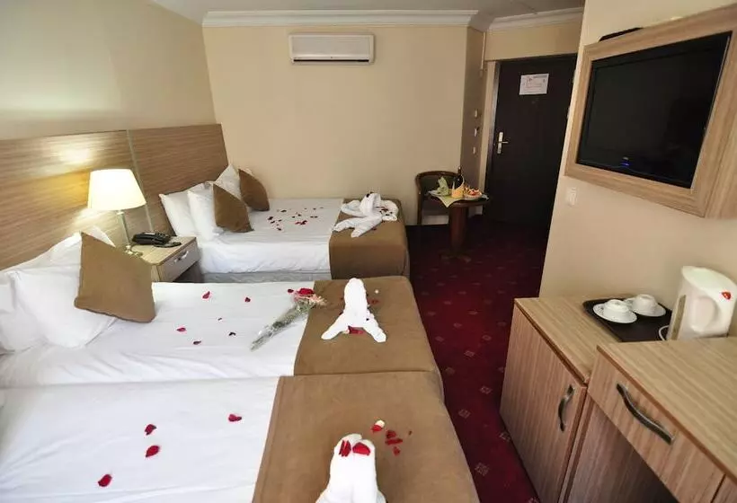 Fotos del hotel Buyuk Sahinler:  2