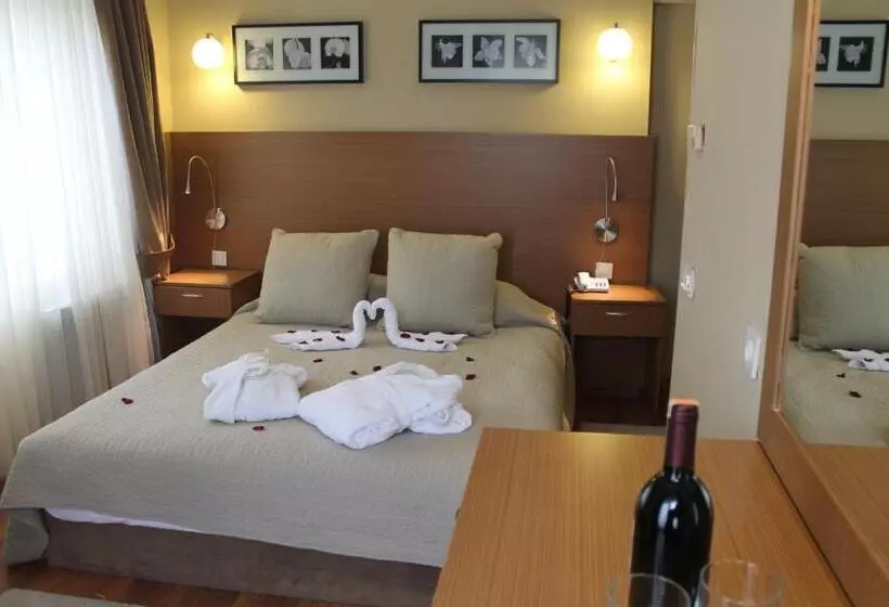 Fotos del hotel Buyuk Sahinler:  20