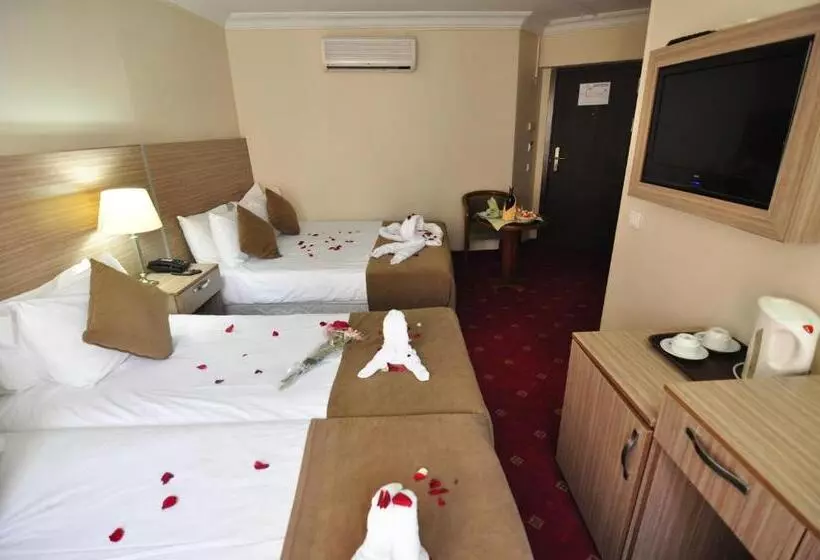 Fotos del hotel Buyuk Sahinler:  22