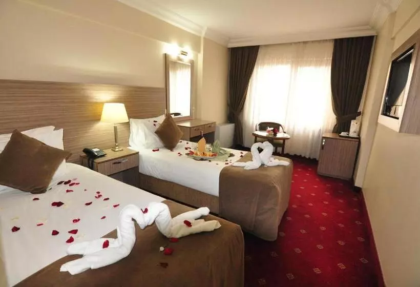 Fotos del hotel Buyuk Sahinler:  13