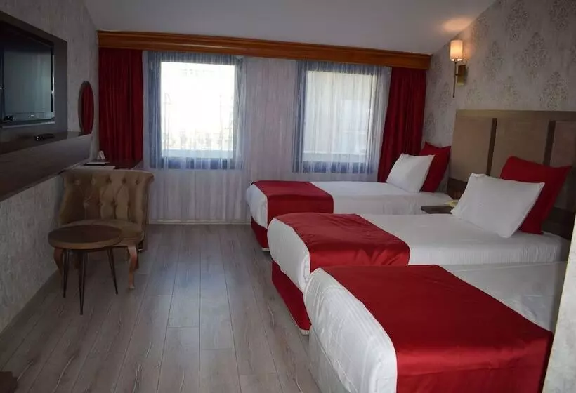 Fotos del hotel Euro Plaza:  10