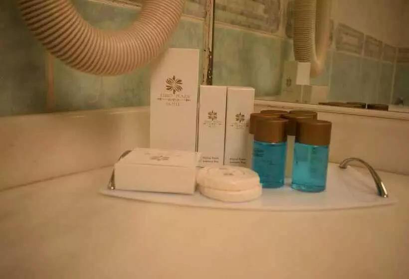 Fotos del hotel Euro Plaza:  18