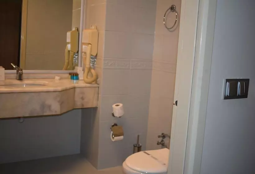 Fotos del hotel Euro Plaza:  7