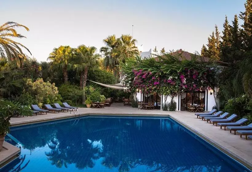 Fotos del hotel Karia Princess:  3