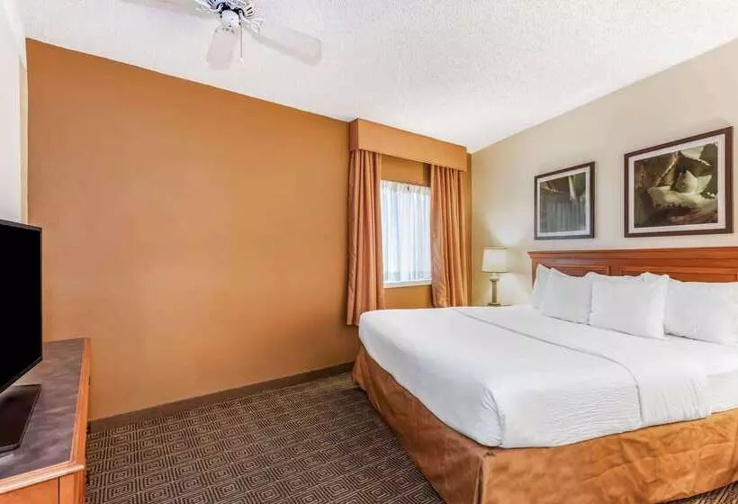Fotos del hotel La Quinta By Wyndham Orlando South:  16