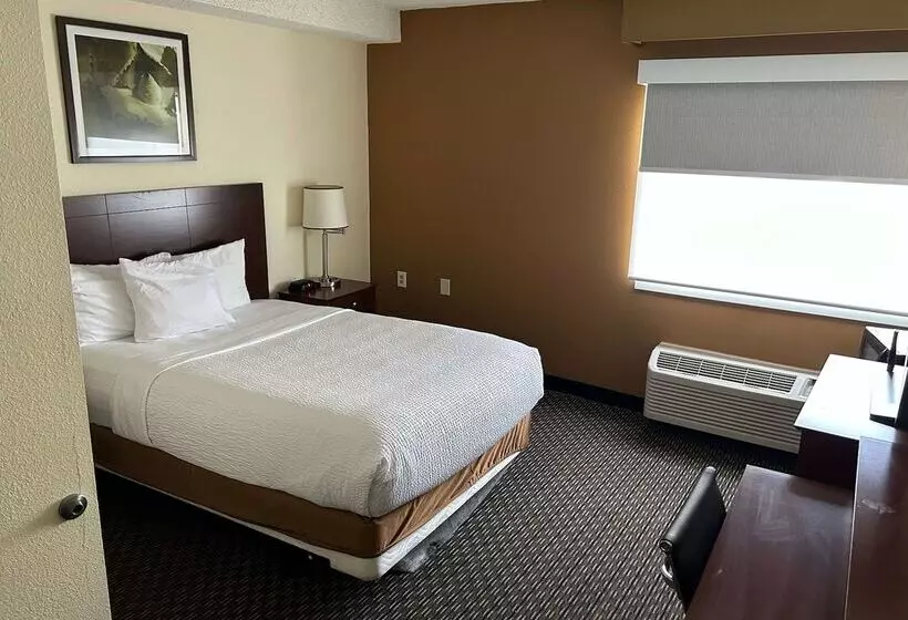 Fotos del hotel La Quinta By Wyndham Orlando South:  17