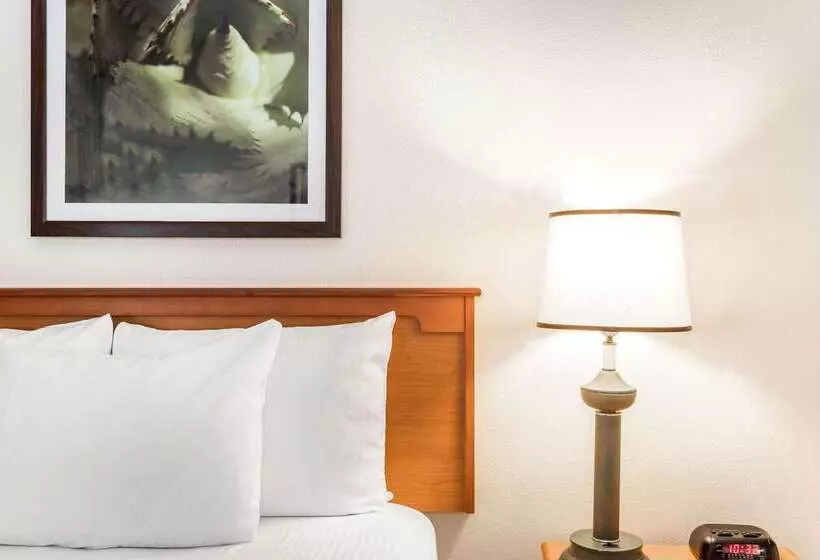 Fotos del hotel La Quinta By Wyndham Orlando South:  23