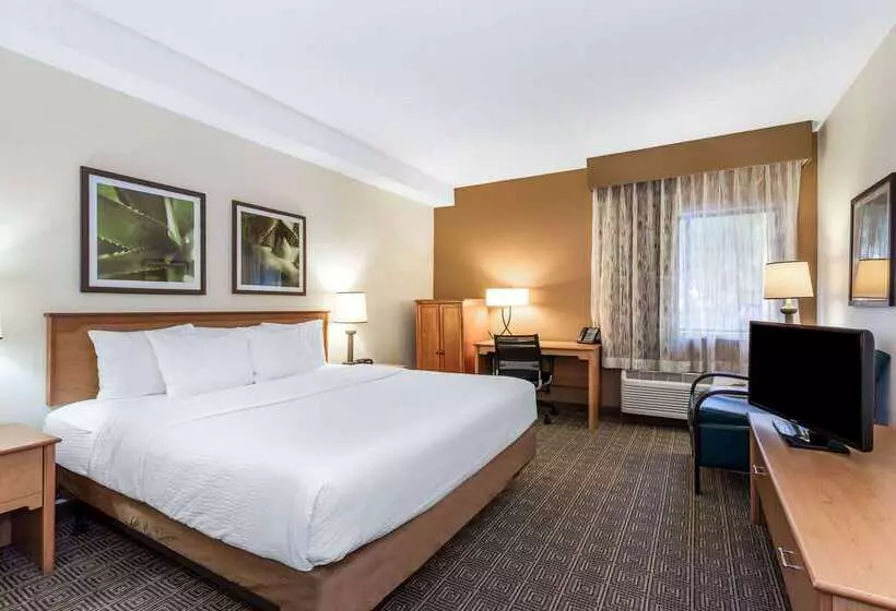 Fotos del hotel La Quinta By Wyndham Orlando South:  12