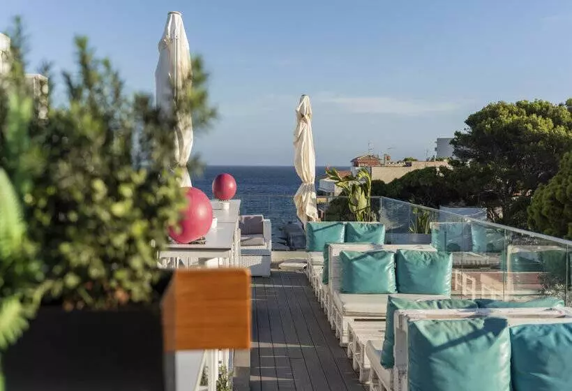 Fotos del hotel Cooee Cala Ratjada:  13