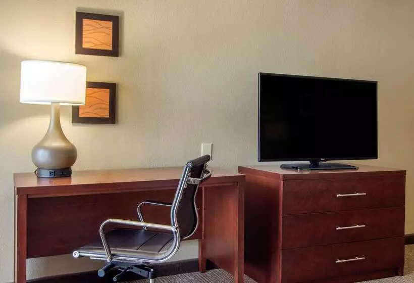 Fotos del hotel Comfort Inn Sandy Springs – Perimeter:  13