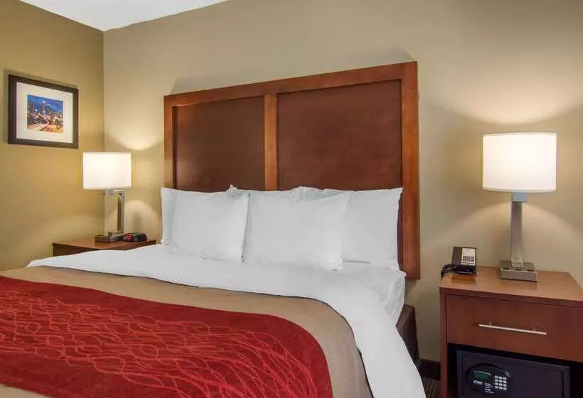 Fotos del hotel Comfort Inn Sandy Springs – Perimeter:  11