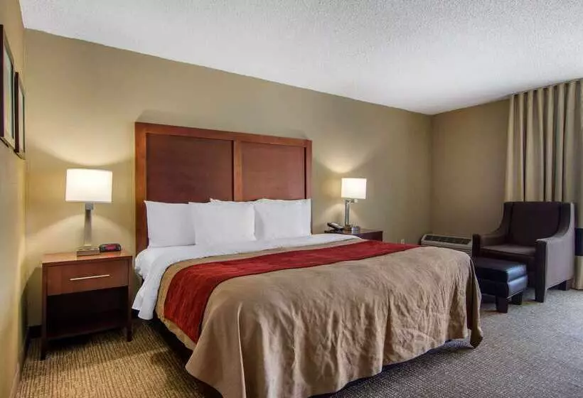 Fotos del hotel Comfort Inn Sandy Springs – Perimeter:  21