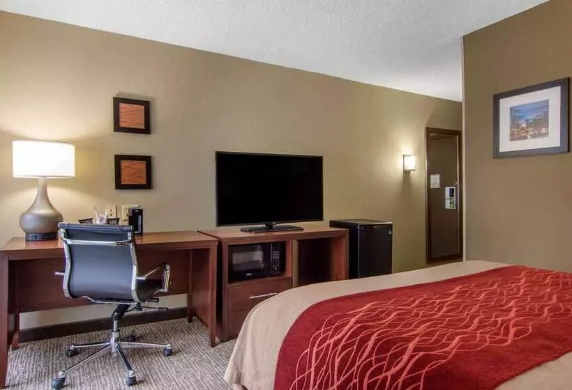 Fotos del hotel Comfort Inn Sandy Springs – Perimeter:  10